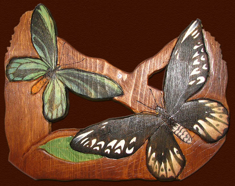 birdwing ornithoptera details tanja sova woodburning